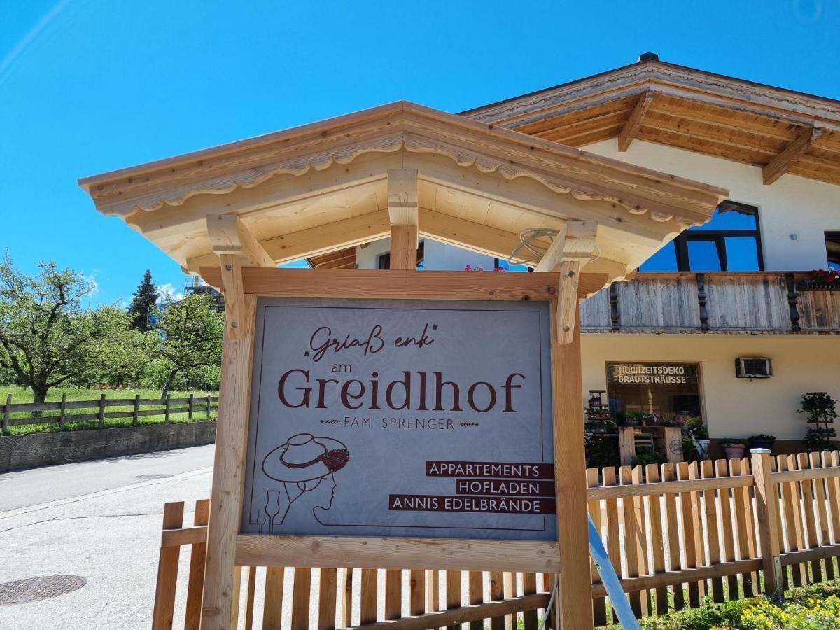 Greidlhof Alpstyle Apartments Fuegen Ngoại thất bức ảnh